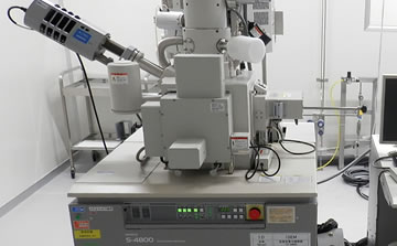 HITACHI S-4800ɨ�������΢��